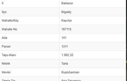 C21 Bal'dan Bigadiç Kayırlar Mahallesinde Satılık Tarla