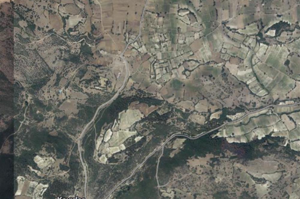 C21 Bal'dan Bigadiç Kayırlar Mahallesinde Satılık Tarla