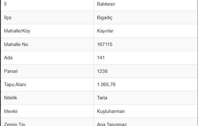 C21 Bal'dan Bigadiç Kayırlar Mahallesinde Satılık Tarla