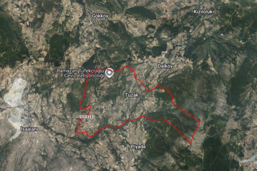C21 Bal'dan Kepsut Tuzak Mahallesinde Satılık Tarla