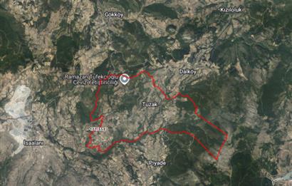 C21 Bal'dan Kepsut Tuzak Mahallesinde Satılık Tarla