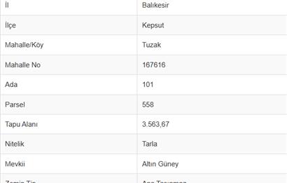 C21 Bal'dan Kepsut Tuzak Mahallesinde Satılık Tarla