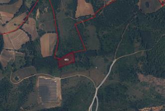 C21 Bal'dan Çanakkale Çan Doğaca Mahallesinde Satılık Tarla - 12 - 34878