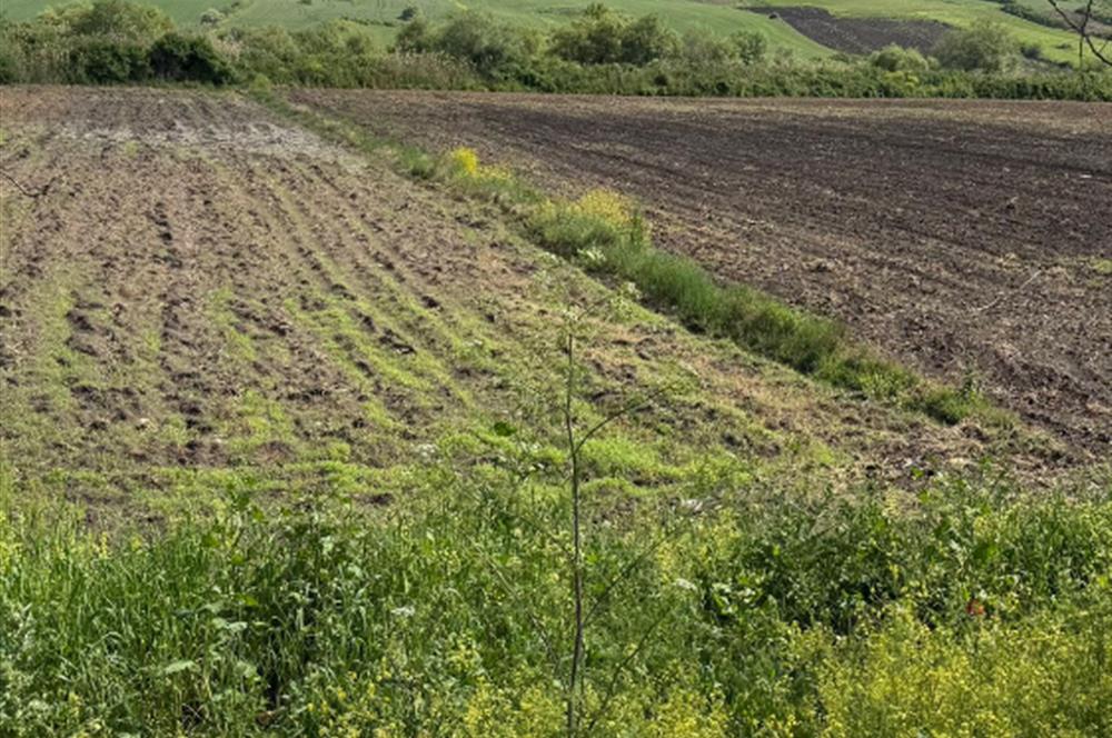 Century21 LOCA’dan SATILIK DEMİRKAPI YOL KENARI TARLA