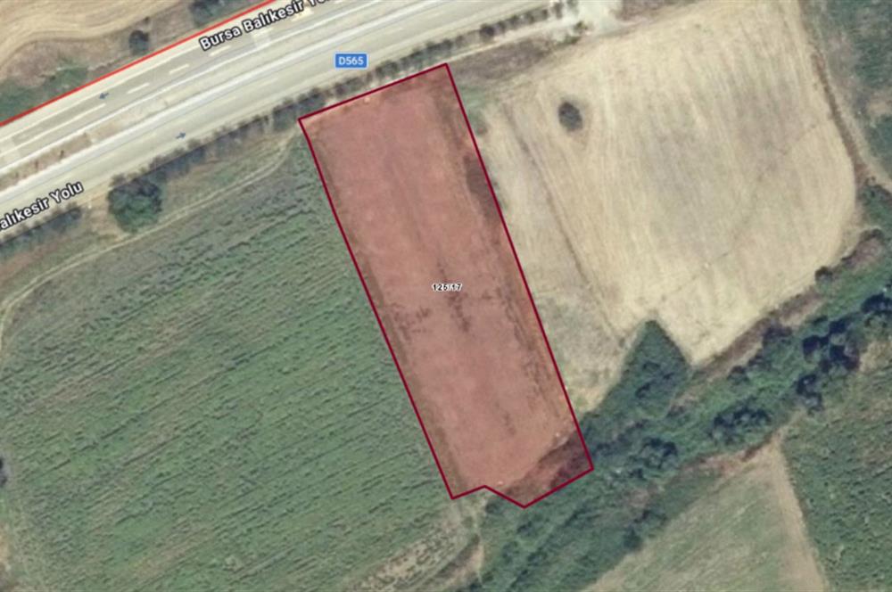 Century21 LOCA’dan SATILIK DEMİRKAPI YOL KENARI TARLA