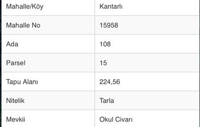 RİZE HEMŞİN KANTARLI KÖYÜN'DE 14544 M2 SATILIK TARLA