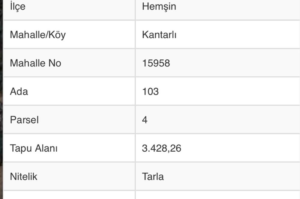 RİZE HEMŞİN KANTARLI KÖYÜN'DE 14544 M2 SATILIK TARLA