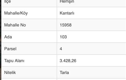 RİZE HEMŞİN KANTARLI KÖYÜN'DE 14544 M2 SATILIK TARLA