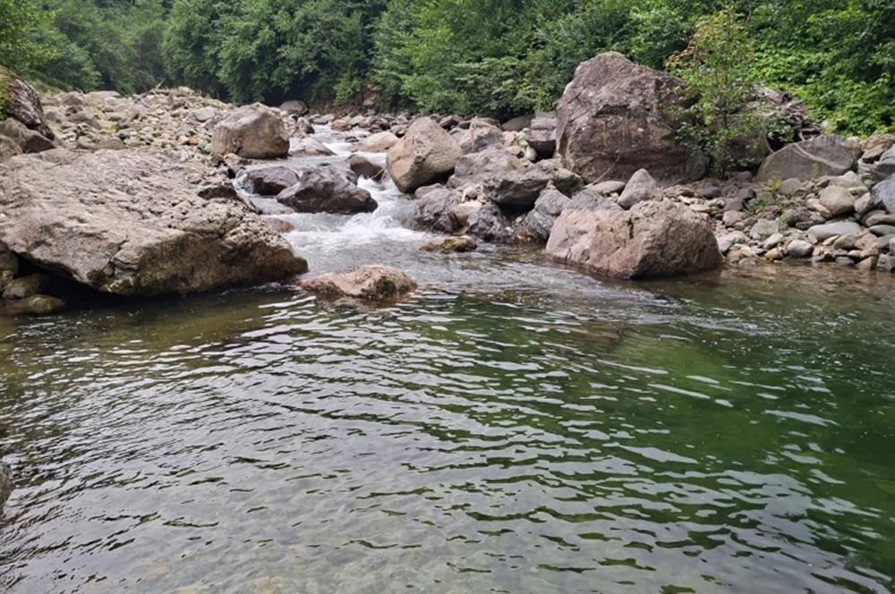 RİZE HEMŞİN KANTARLI KÖYÜN'DE 14544 M2 SATILIK TARLA