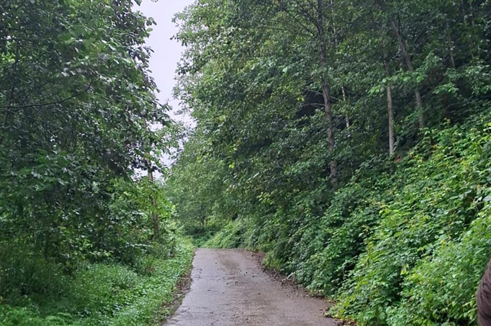 RİZE HEMŞİN KANTARLI KÖYÜN'DE 14544 M2 SATILIK TARLA