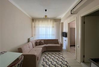 C21 Bal 'dan Gaziosmanpaşa Mahallesinde Kiralık 1+1 Daire - 5 - 34947