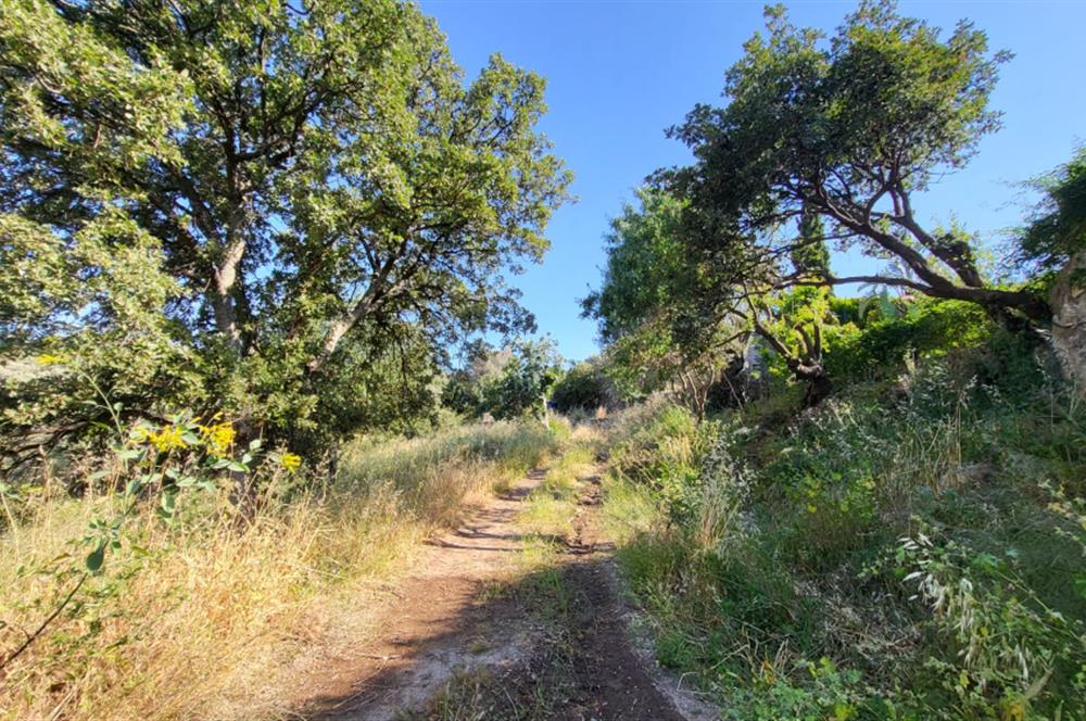 Muğla Bodrum Yakaköy 460 M2 Yolu Olan Villalar Bölgesinde Merkezde Kooperatif Arazisi 