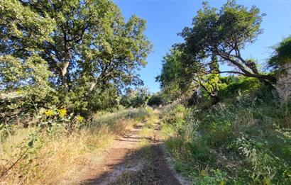 Muğla Bodrum Yakaköy 460 M2 Yolu Olan Villalar Bölgesinde Merkezde Kooperatif Arazisi 