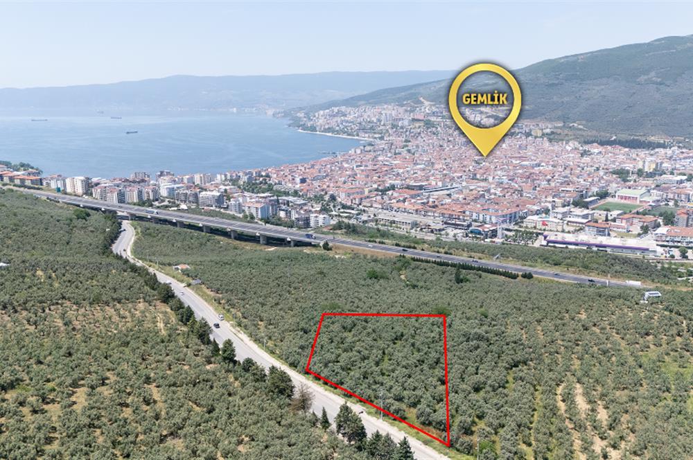 C21 Cius; Umurbey Asfaltına Cephe Deniz Manzaralı Emsalsiz Zeyt