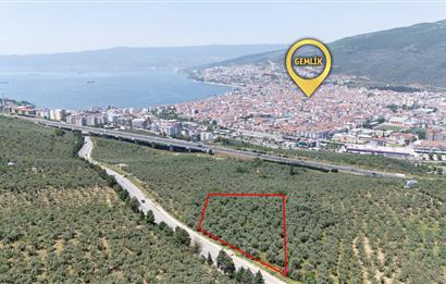 C21 Cius; Umurbey Asfaltına Cephe Deniz Manzaralı Emsalsiz Zeyt