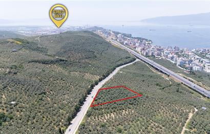 C21 Cius; Umurbey Asfaltına Cephe Deniz Manzaralı Emsalsiz Zeyt