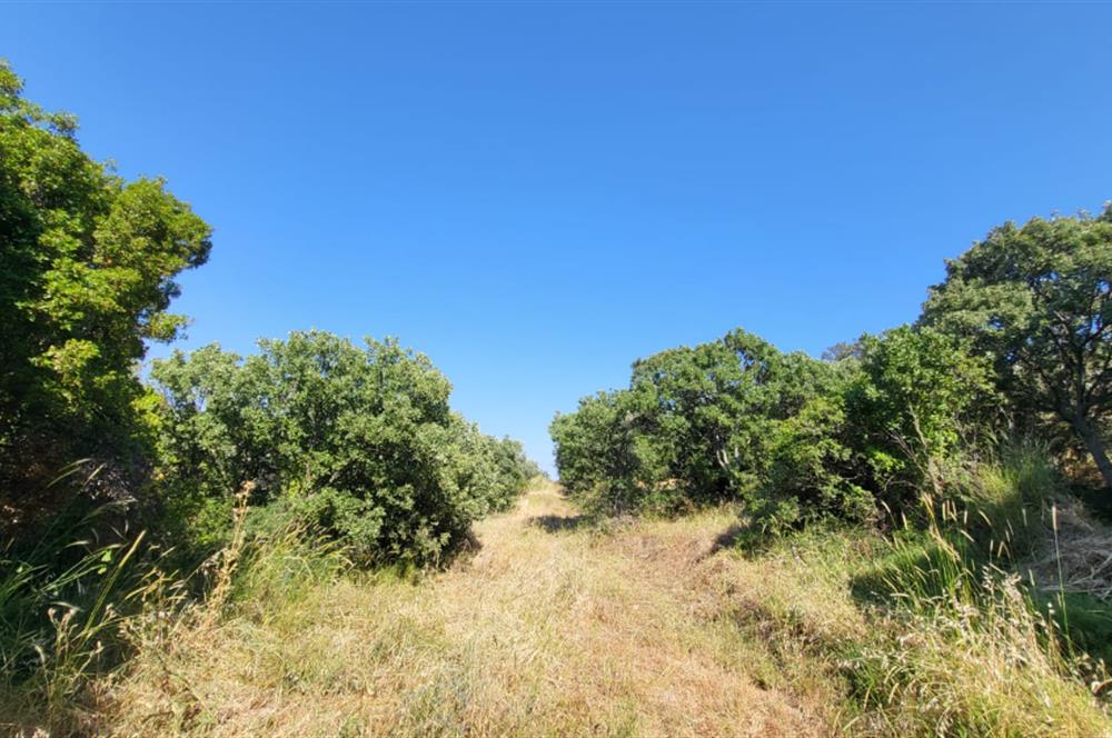 Muğla Bodrum Yakaköy 460 M2 Yolu Olan Villalar Bölgesinde Merkezde Kooperatif Arazisi 