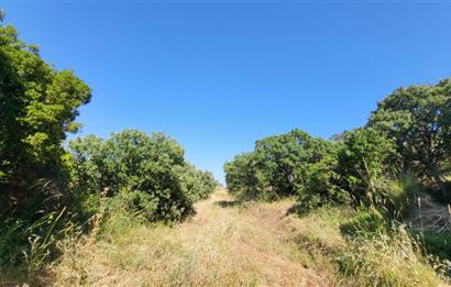 Muğla Bodrum Yakaköy 460 M2 Yolu Olan Villalar Bölgesinde Merkezde Kooperatif Arazisi 