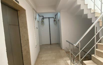 C21 Bal 'dan Gaziosmanpaşa Mahallesinde Kiralık 1+1 Daire