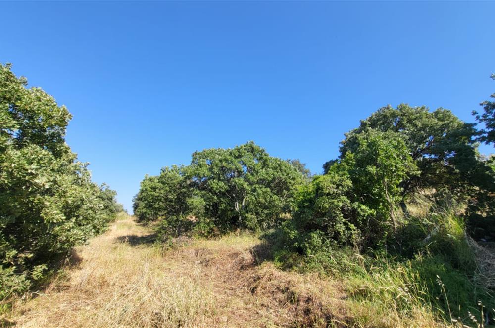 Muğla Bodrum Yakaköy 460 M2 Yolu Olan Villalar Bölgesinde Merkezde Kooperatif Arazisi 