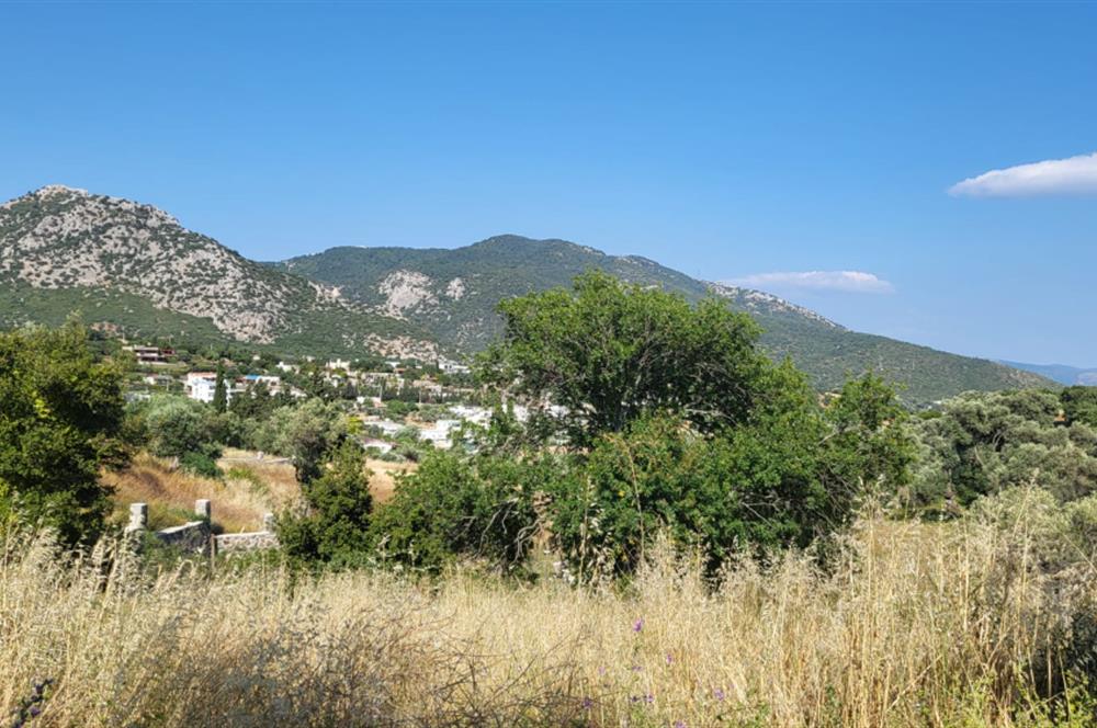 Muğla Bodrum Yakaköy 460 M2 Yolu Olan Villalar Bölgesinde Merkezde Kooperatif Arazisi 