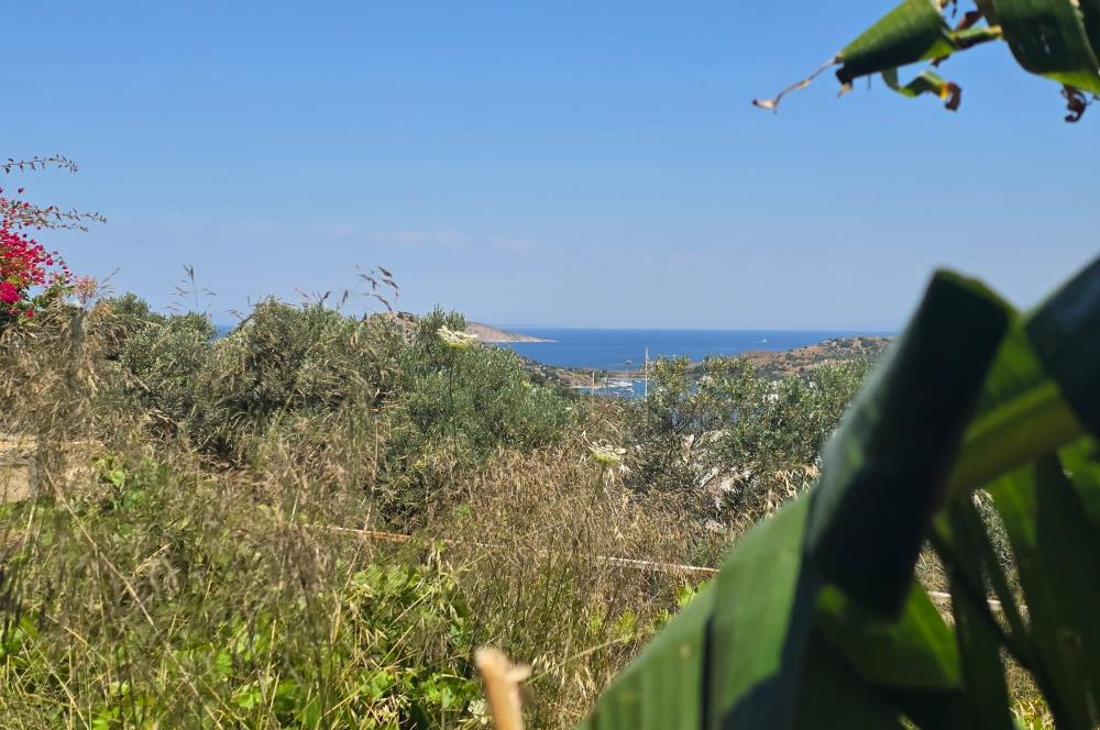 Bodrum Gümüşlük Kapanmaz Deniz Manzaralı Müstakil Ev