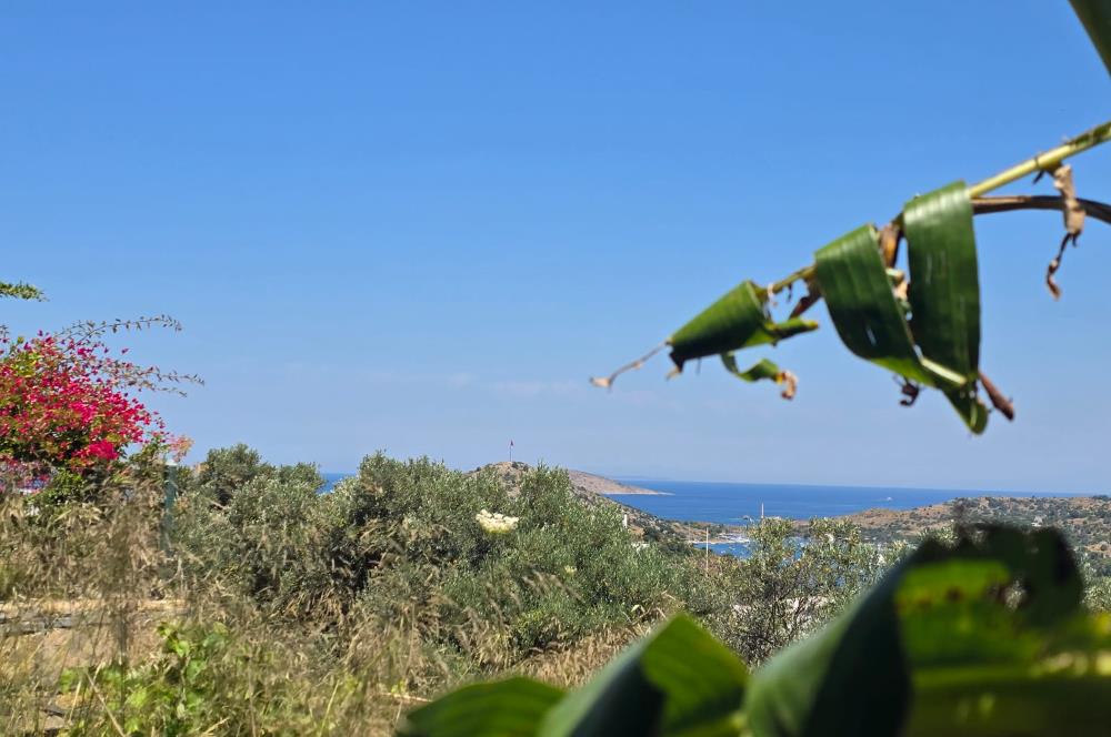 Bodrum Gümüşlük Kapanmaz Deniz Manzaralı Müstakil Ev