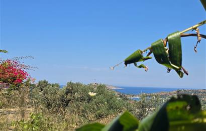 Bodrum Gümüşlük Kapanmaz Deniz Manzaralı Müstakil Ev