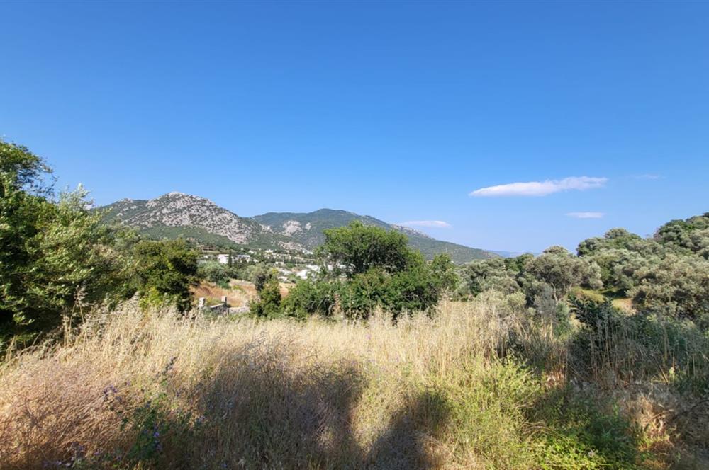 Muğla Bodrum Yakaköy 460 M2 Yolu Olan Villalar Bölgesinde Merkezde Kooperatif Arazisi 