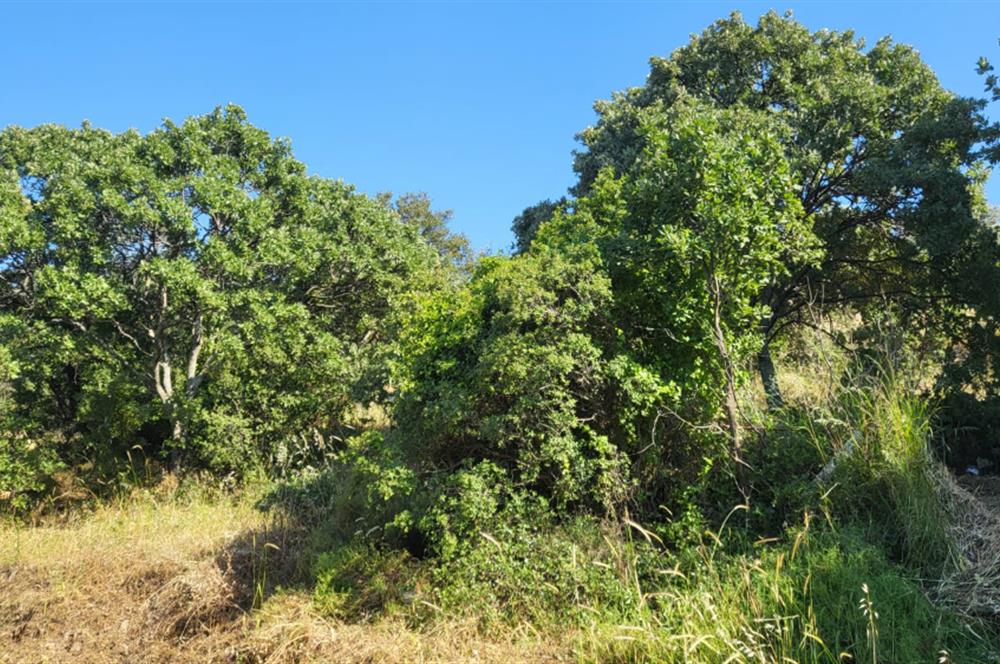 Muğla Bodrum Yakaköy 460 M2 Yolu Olan Villalar Bölgesinde Merkezde Kooperatif Arazisi 