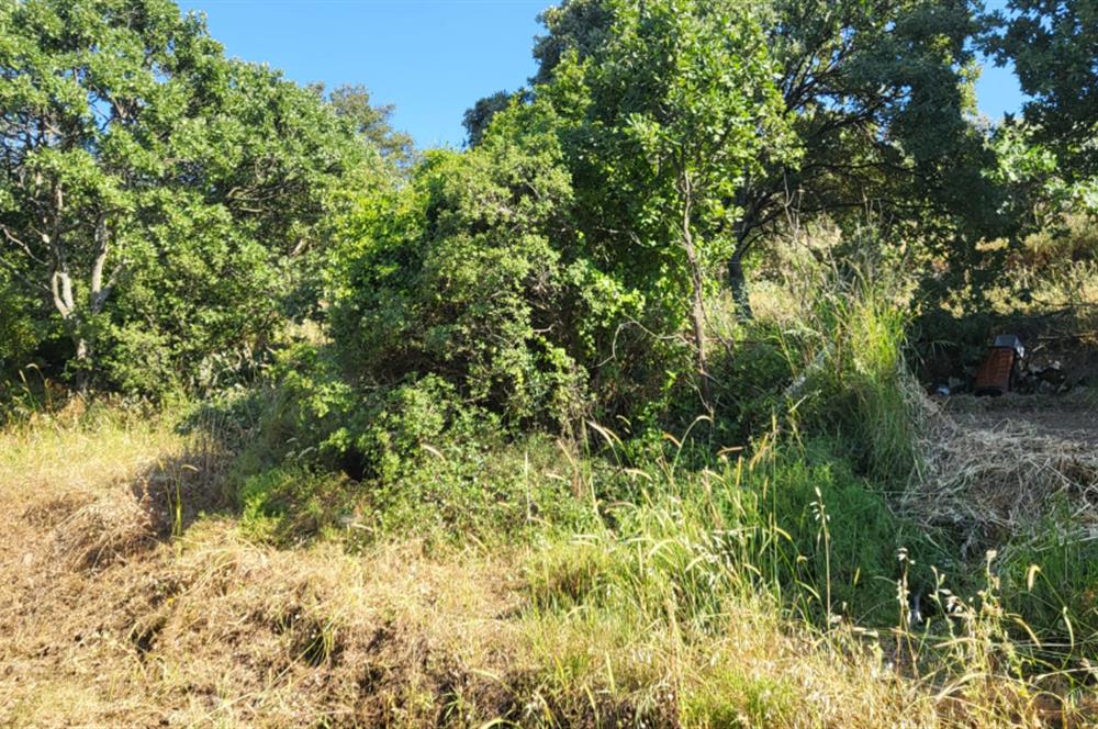 Muğla Bodrum Yakaköy 460 M2 Yolu Olan Villalar Bölgesinde Merkezde Kooperatif Arazisi 