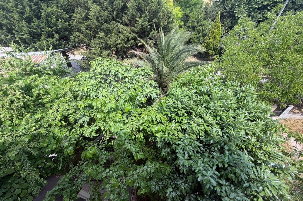 Serdivan'da Satılık 6+1 Tripleks Villa, Geniş Bahçeli