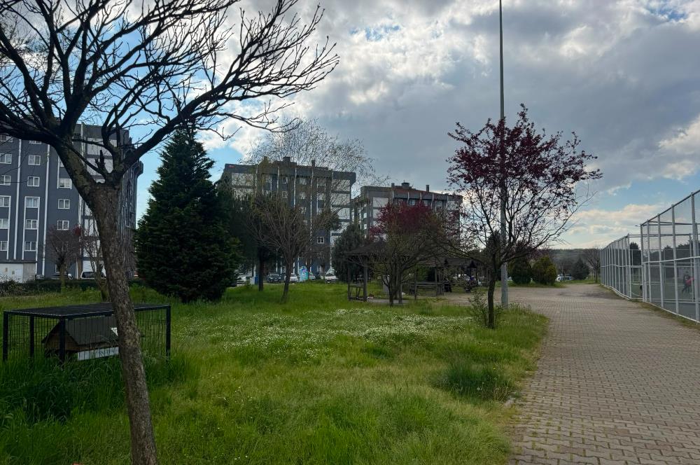 ŞEKERPINAR TOKİDE 2+1 KİRALIK DAİRE