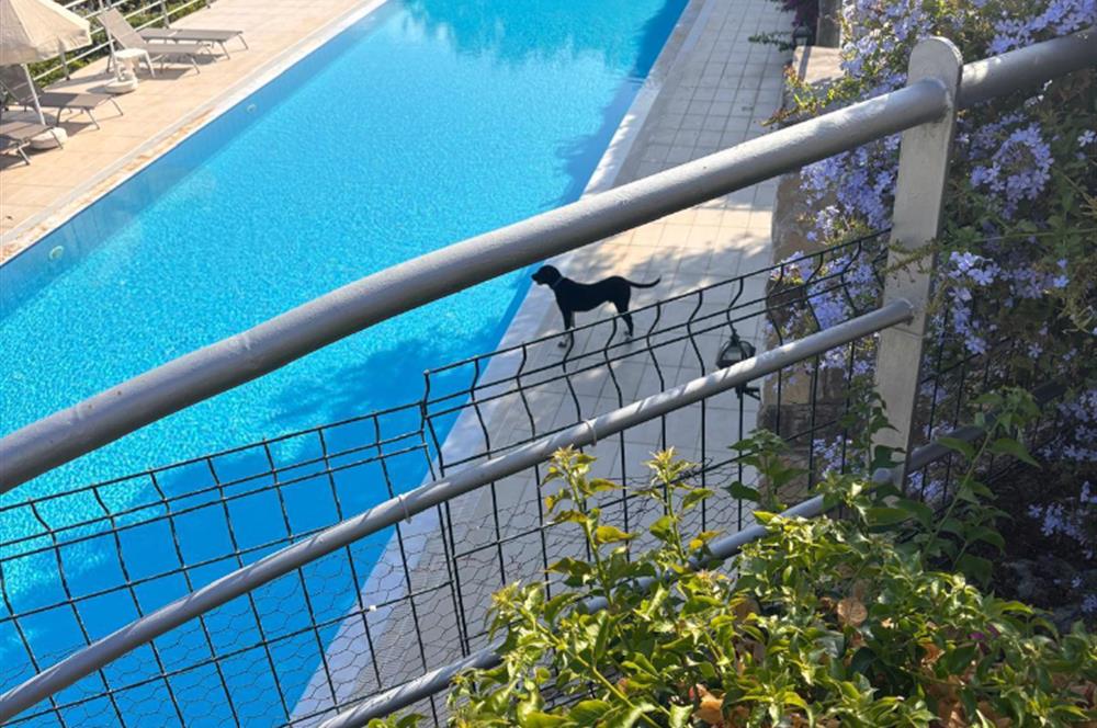 Gümüşlük'te Opus Village Sitesinde Kiralık Daire