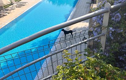 Gümüşlük'te Opus Village Sitesinde Kiralık Daire