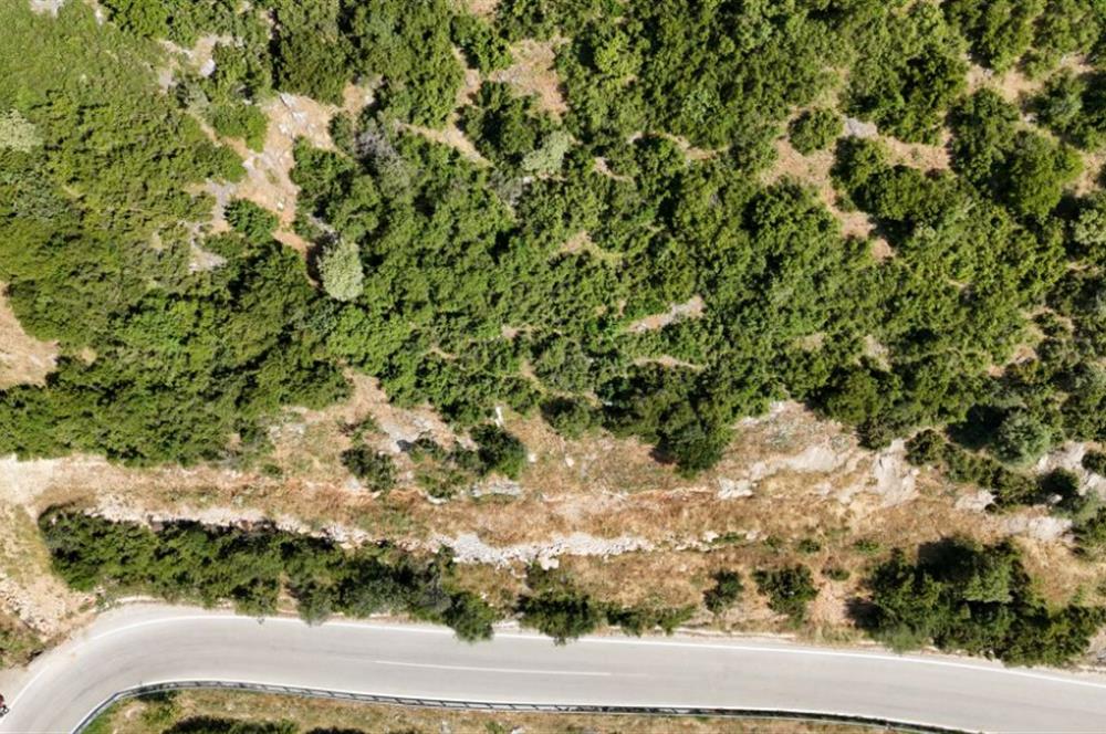 C21Cius; Şahinyurdu'nda Asfalt Yola Cepheli 626 m2 Manzaralı Arazi