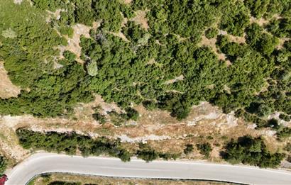 C21Cius; Şahinyurdu'nda Asfalt Yola Cepheli 626 m2 Manzaralı Arazi