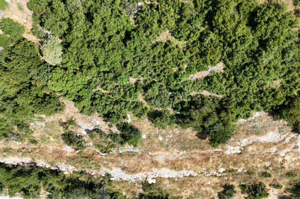 C21Cius; Şahinyurdu'nda Asfalt Yola Cepheli 626 m2 Manzaralı Arazi