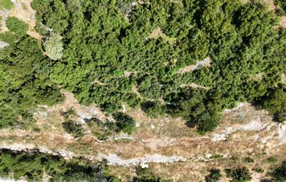 C21Cius; Şahinyurdu'nda Asfalt Yola Cepheli 626 m2 Manzaralı Arazi