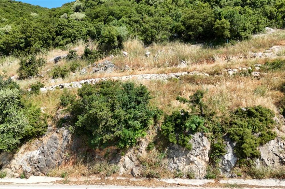 C21Cius; Şahinyurdu'nda Asfalt Yola Cepheli 626 m2 Manzaralı Arazi