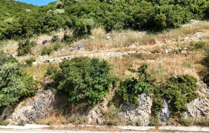 C21Cius; Şahinyurdu'nda Asfalt Yola Cepheli 626 m2 Manzaralı Arazi