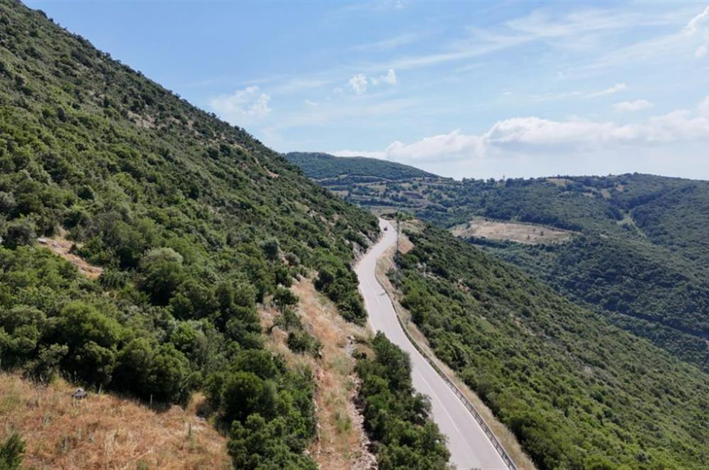 C21Cius; Şahinyurdu'nda Asfalt Yola Cepheli 626 m2 Manzaralı Arazi
