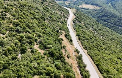 C21Cius; Şahinyurdu'nda Asfalt Yola Cepheli 626 m2 Manzaralı Arazi