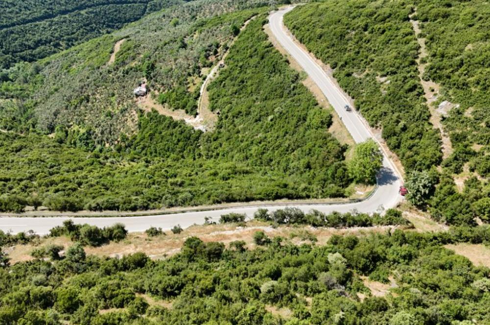 C21Cius; Şahinyurdu'nda Asfalt Yola Cepheli 626 m2 Manzaralı Arazi