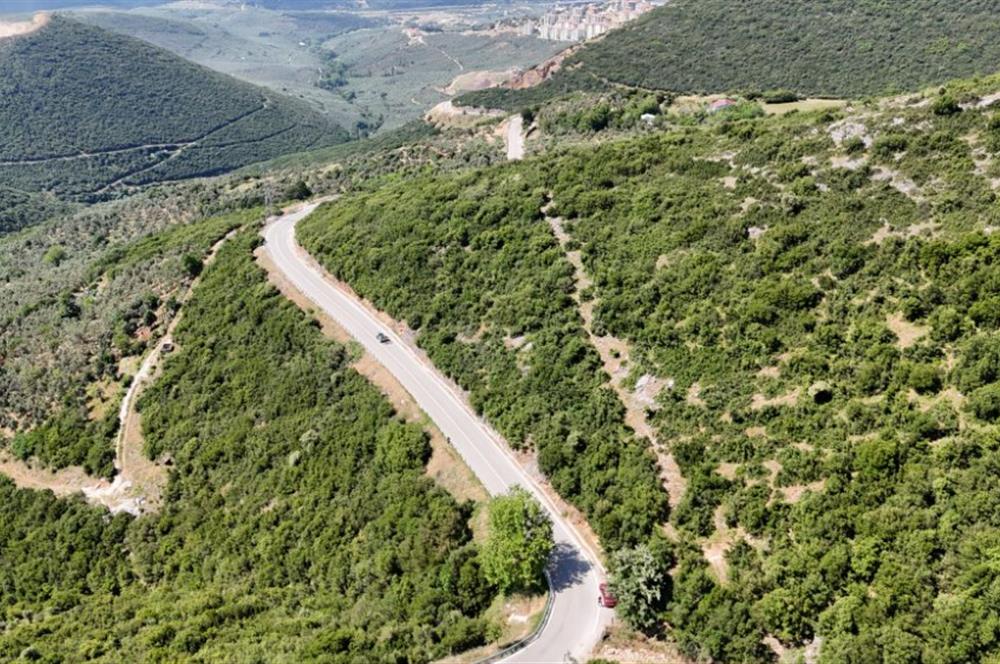 C21Cius; Şahinyurdu'nda Asfalt Yola Cepheli 626 m2 Manzaralı Arazi