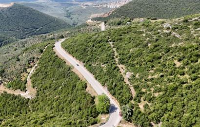 C21Cius; Şahinyurdu'nda Asfalt Yola Cepheli 626 m2 Manzaralı Arazi
