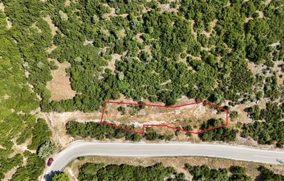 C21Cius; Şahinyurdu'nda Asfalt Yola Cepheli 626 m2 Manzaralı Arazi