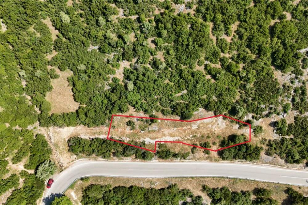 C21Cius; Şahinyurdu'nda Asfalt Yola Cepheli 626 m2 Manzaralı Arazi