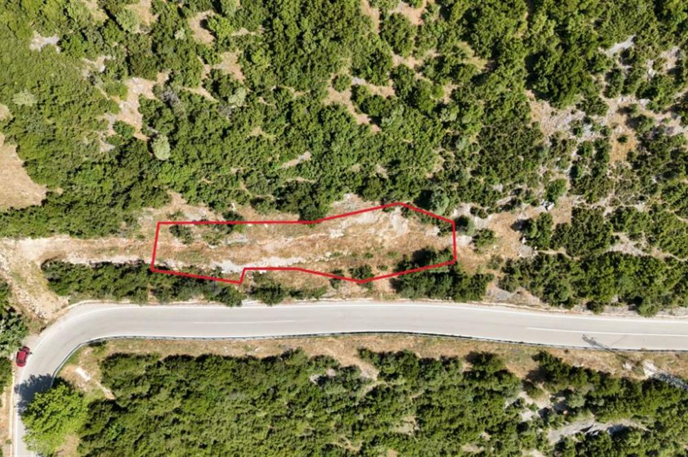 C21Cius; Şahinyurdu'nda Asfalt Yola Cepheli 626 m2 Manzaralı Arazi