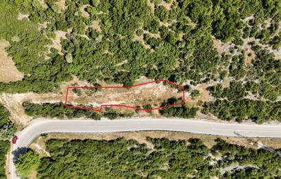 C21Cius; Şahinyurdu'nda Asfalt Yola Cepheli 626 m2 Manzaralı Arazi